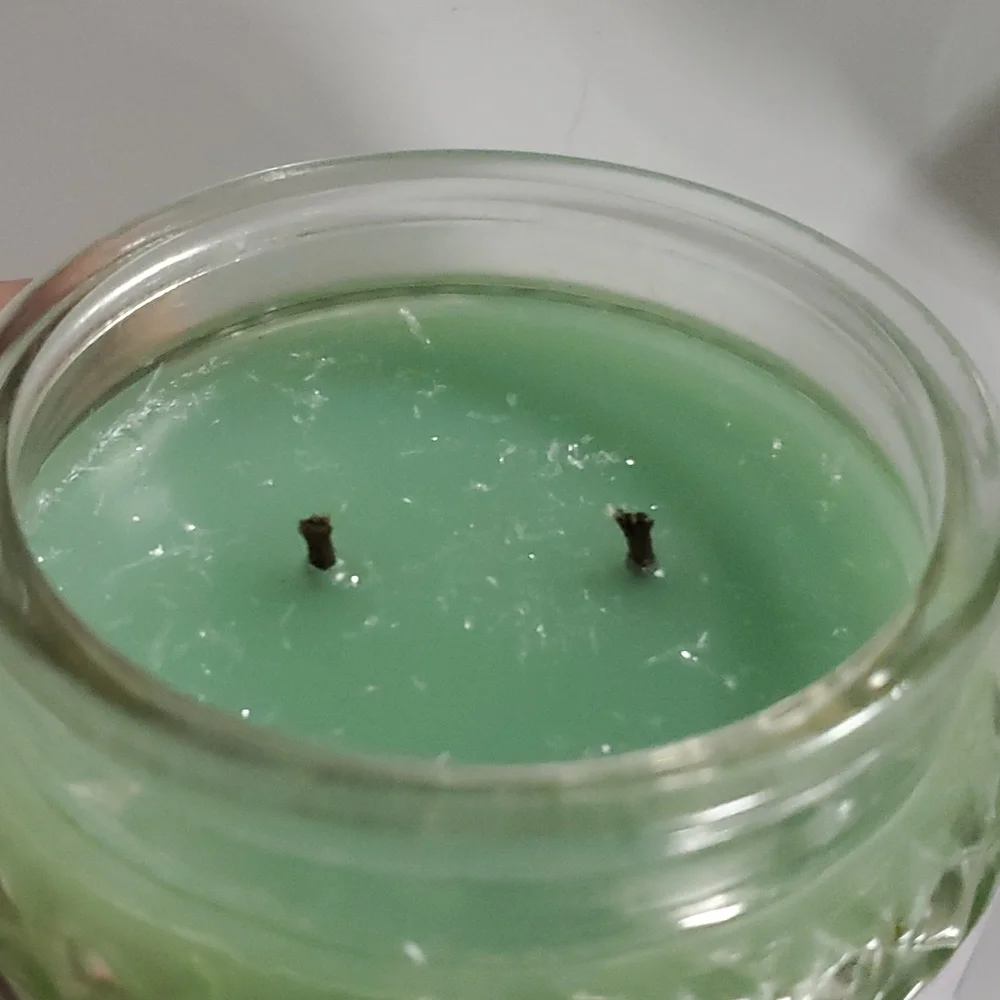 OLD FASHIONED MINT ICE CREAM small/8 oz Gold Canyon‎ two-wick candle